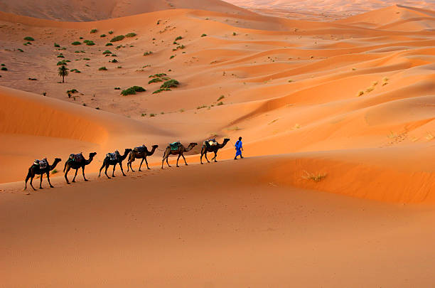 2 Days Tour from Marrakech
